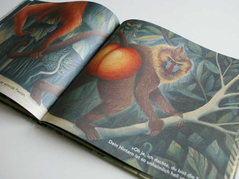 Pongo sucht die Sonne