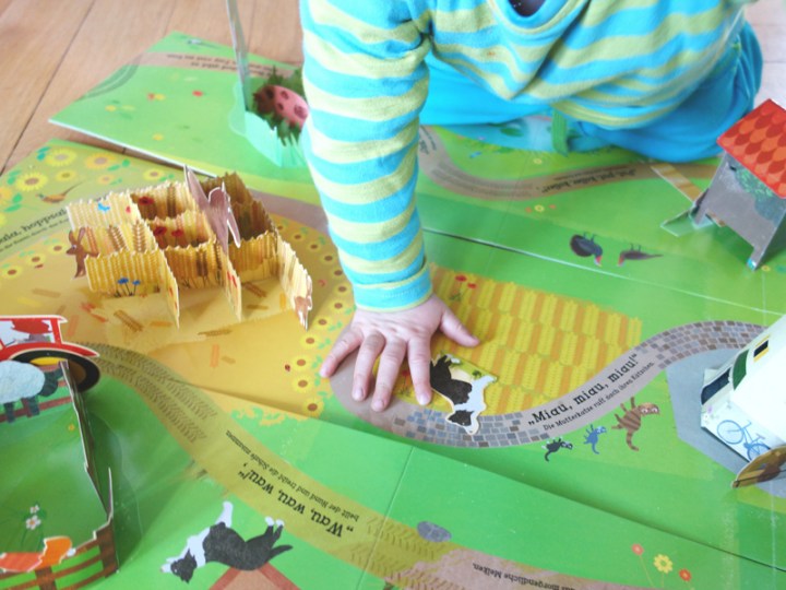 SpielbuchBauernhof_09