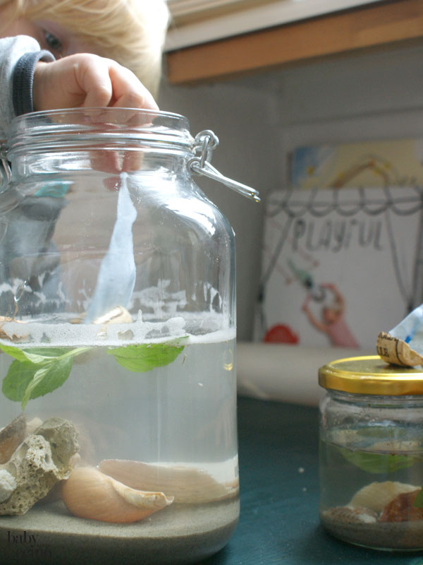 bootimglas-miniaquarium-12