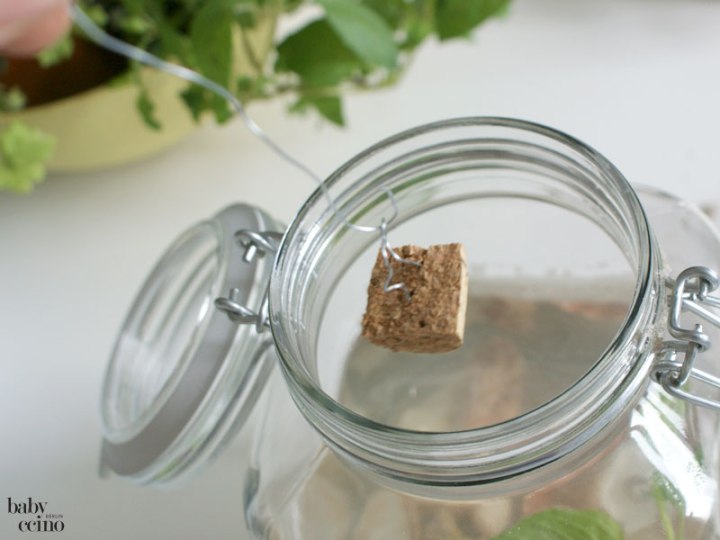 bootimglas-miniaquarium-5