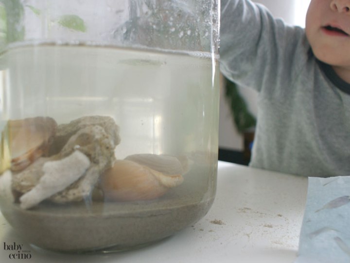 bootimglas-miniaquarium-9