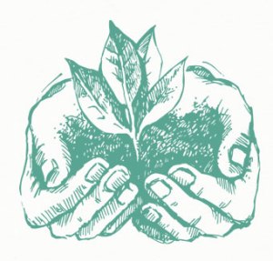 bio-schoenes-gutes-hand