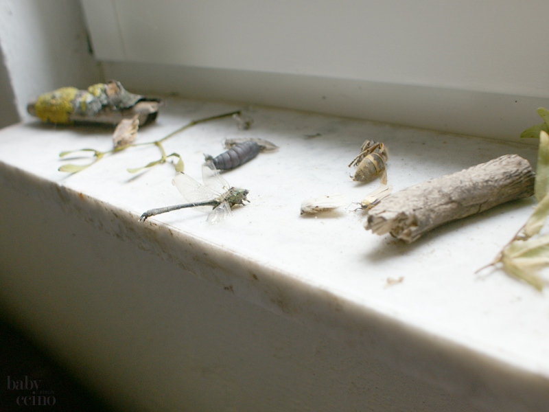 nestas-nest-babybett-1