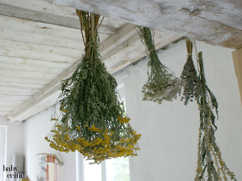 nestas-nest-babybett-2