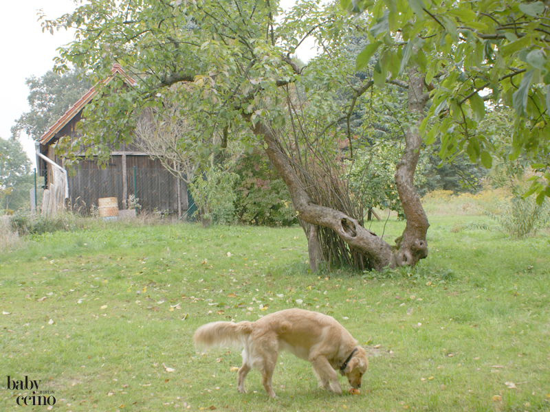 nestas-nest-babybett-22