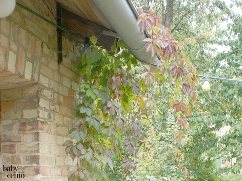 nestas-nest-babybett-25