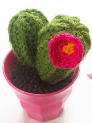 FrauApfelkern-Kaktus-Gehaekelt