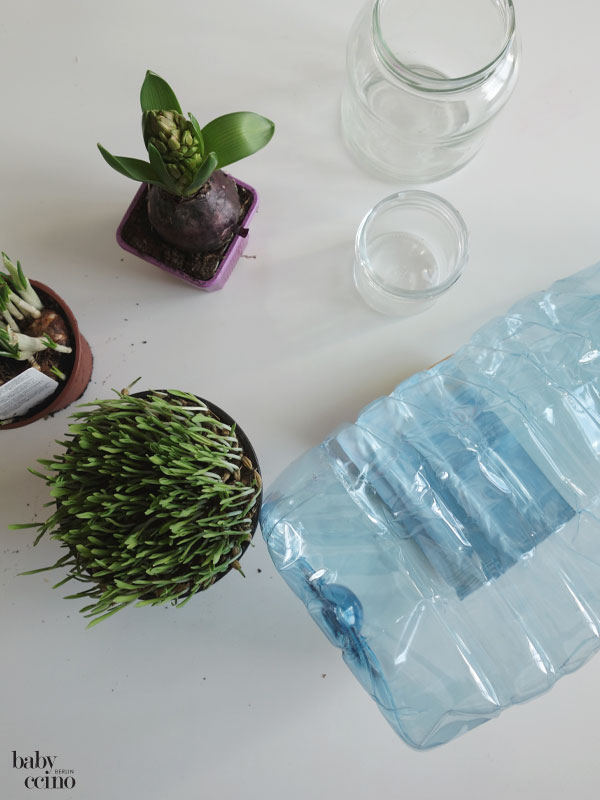 Fruehlingspflanzen-diy-1