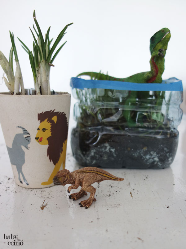 Fruehlingspflanzen-diy-5