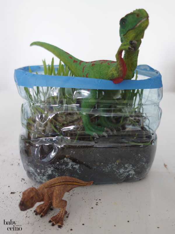 Fruehlingspflanzen-diy-6