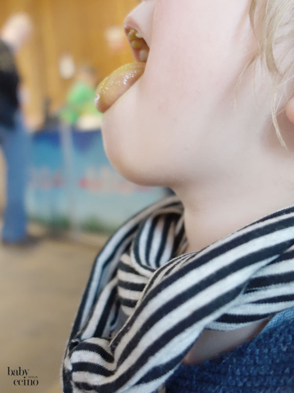 Babymania-Mitmachmesse-2016-9