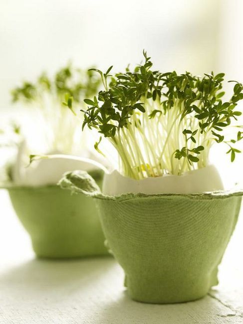 eierkartonkresse-pinterest