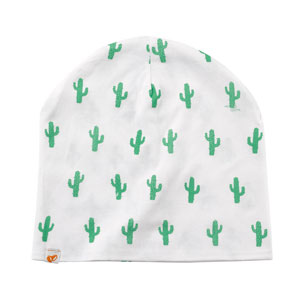 Muetze-Kaktus-Filius-Feez