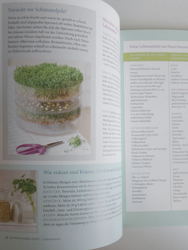 speiseplanNo13-Schwangerschaft-1