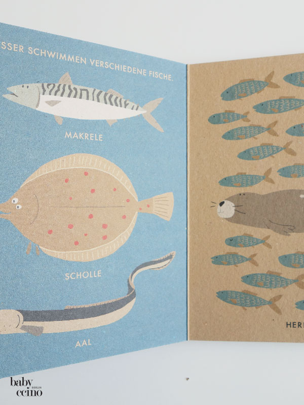 mein-kleinesa-meer-1