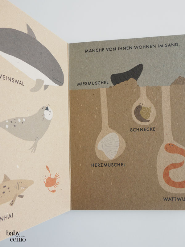 mein-kleinesa-meer-2