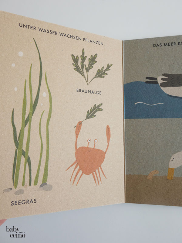 mein-kleinesa-meer-3