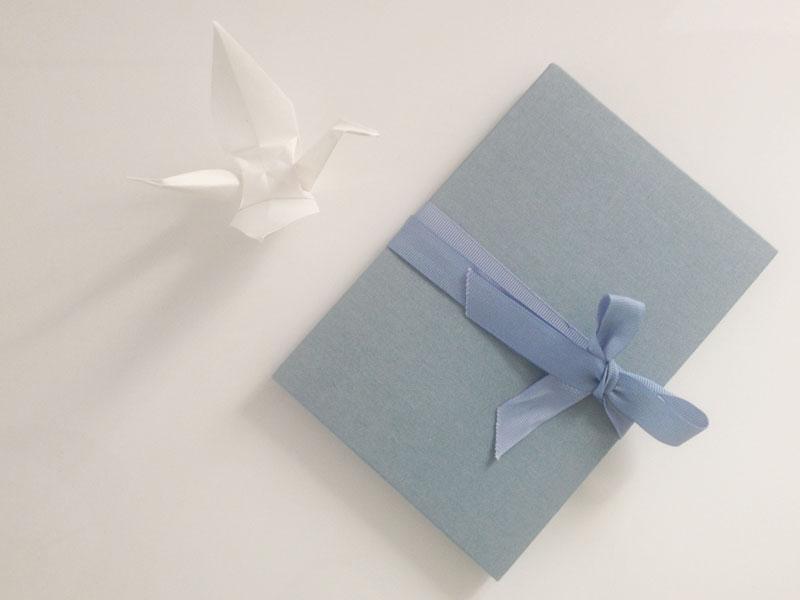 katrin-schwanger-buch