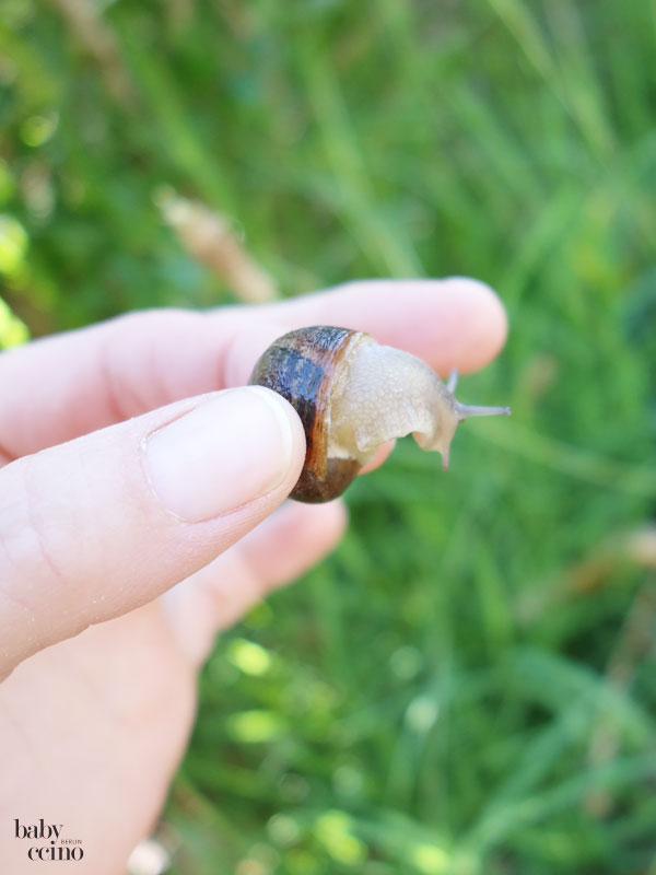 Zelturlaub-camping-mit-kleinkind-17