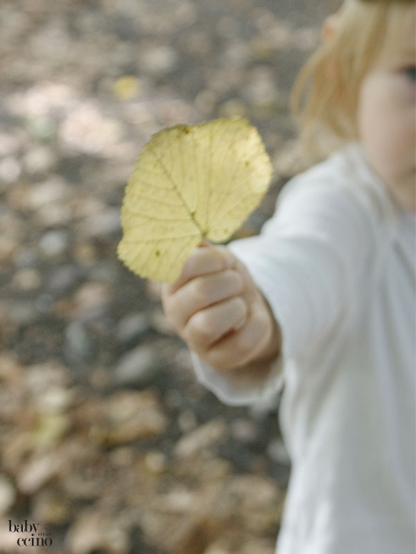 diy-herbstschaetze-waldorf-erntedank-1