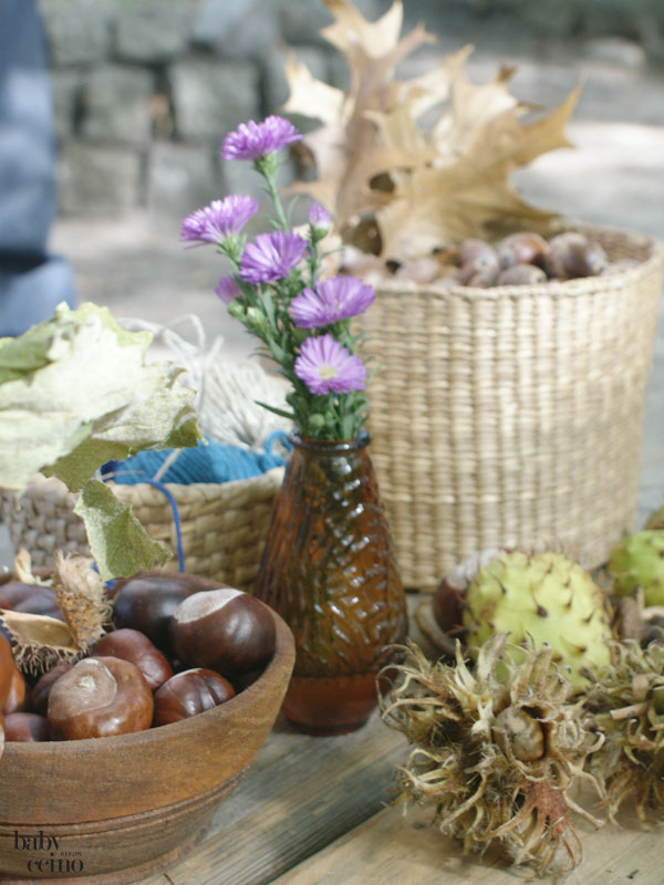diy-herbstschaetze-waldorf-erntedank-19