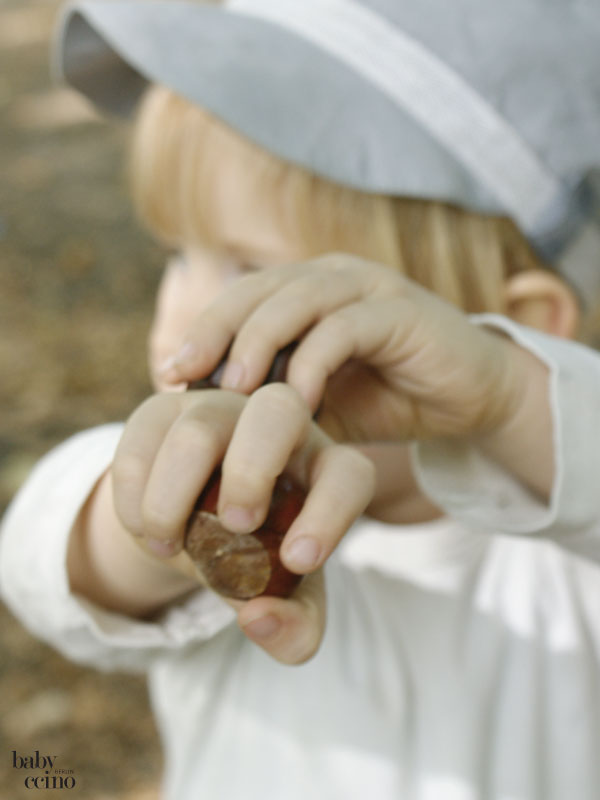 diy-herbstschaetze-waldorf-erntedank-2