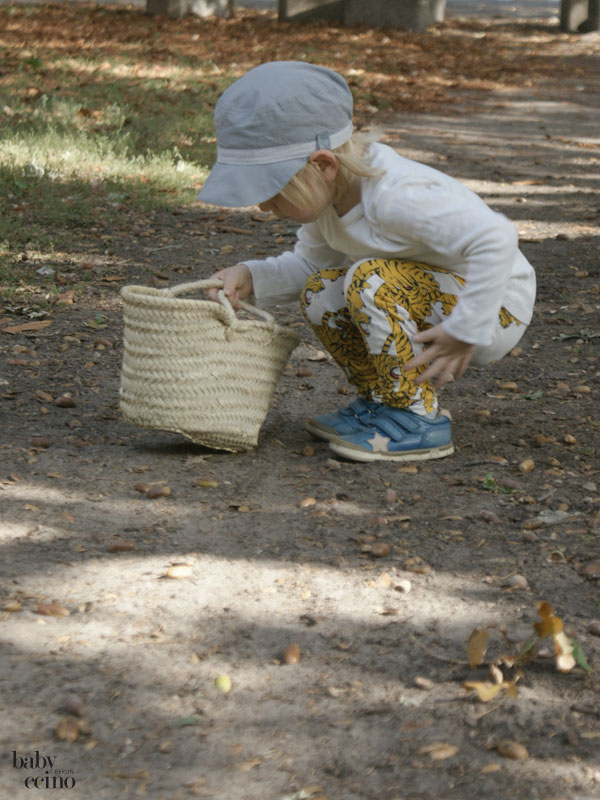 diy-herbstschaetze-waldorf-erntedank-3
