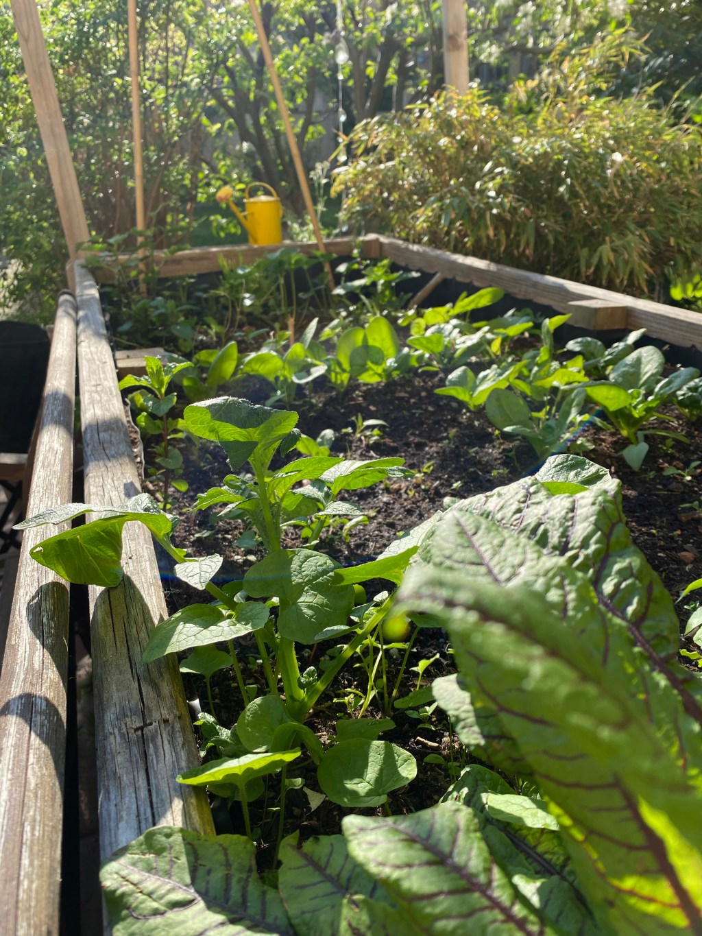 Zwischen Schwermut und Frühlingsgefühlen – was uns als Familie jetzt gut&nbsp;tut